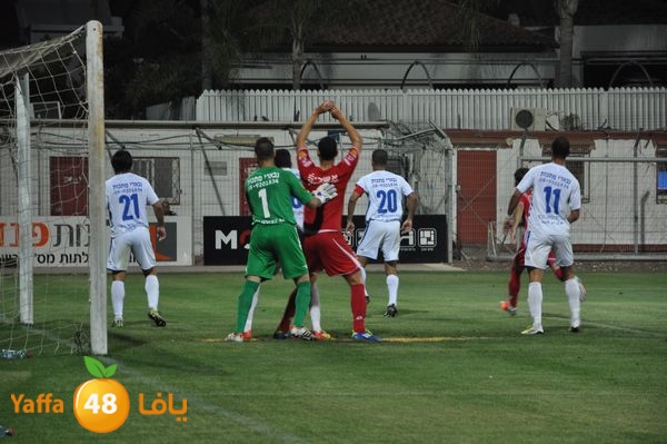 koraludn5478339 (24).JPG